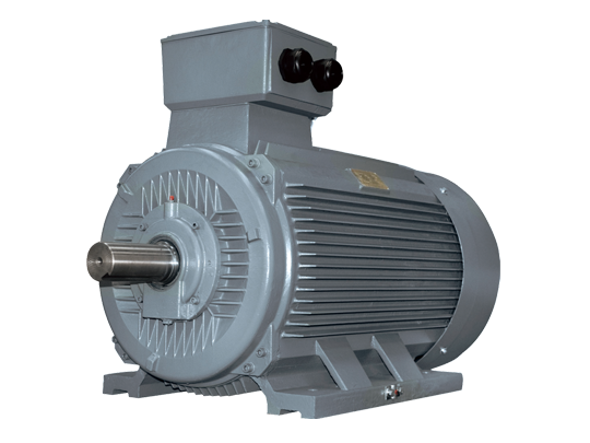 HMD Series Dust Ignition Protection Ex Motors