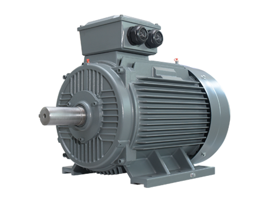 HPM Series Permanent Magnet Motors
